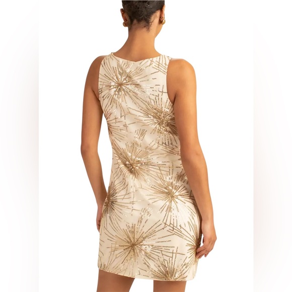 Trina Trurk Gold Sequin Sleeveless Dress - Picture 2 of 9
